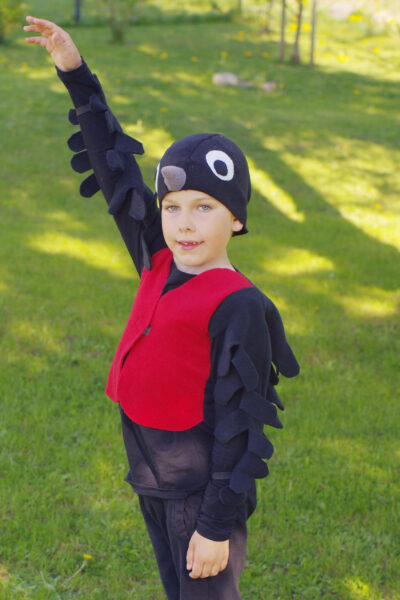 laenutus linnu kostüüm lastele