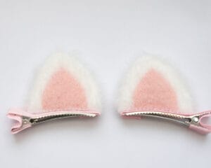 Kassi juukseklambrid