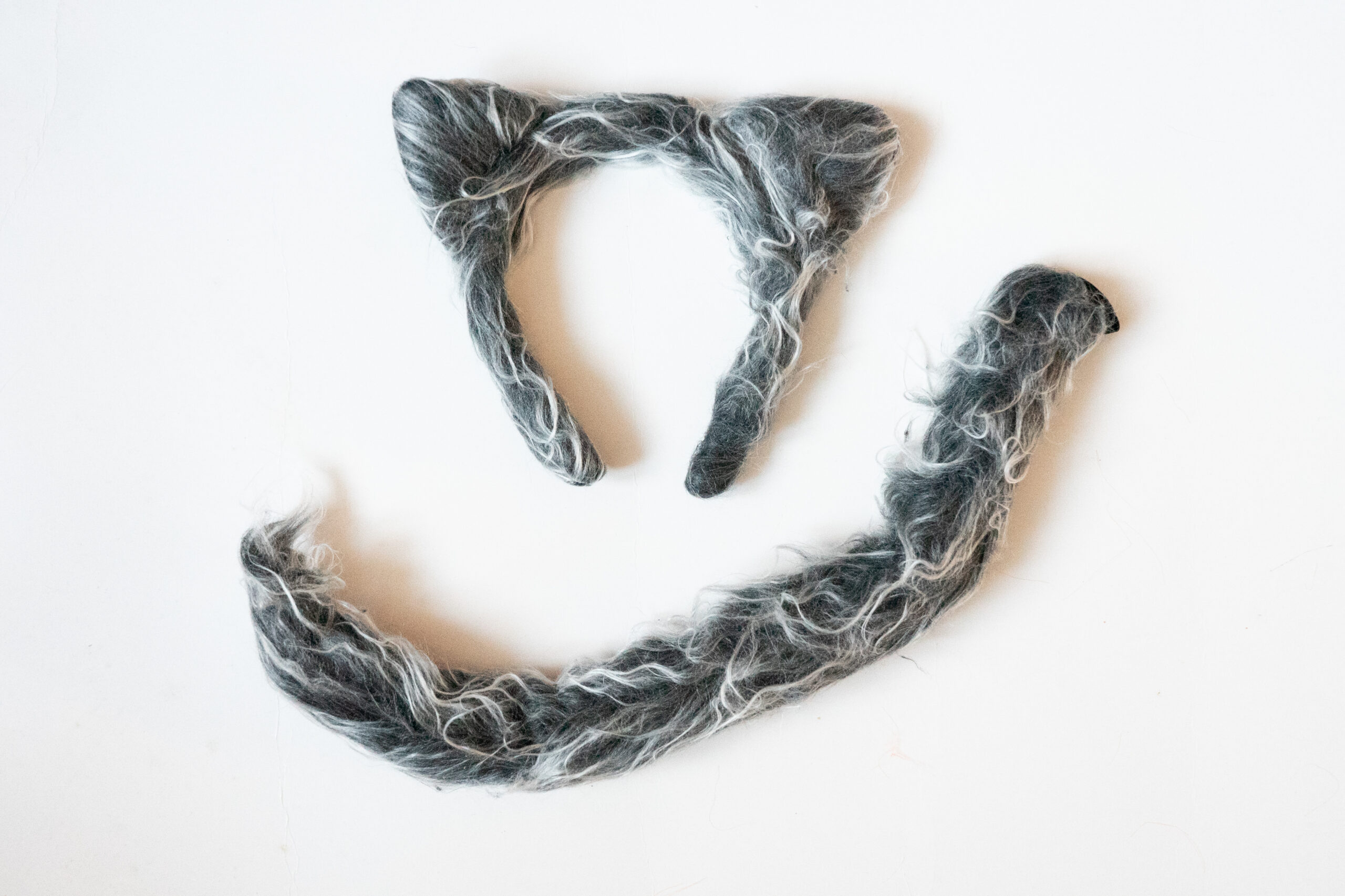 hundi peavõru ja saba kostüüm