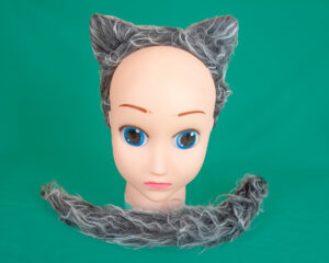 hundi peavõru ja saba kostüüm