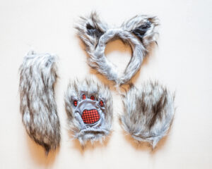 komplekt hunt: peavõru, saba ja käpad